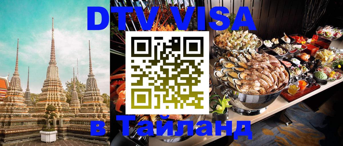 Оформление DTV визы под ключ: стоимость и тарифы, только загранпаспорт - 